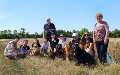 DĂ©couvrez nos nouveaux packs dâadhĂ©sion