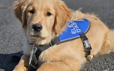 Bienvenue Azure !